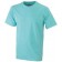 color:mint